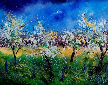 Verger 459040 - Pol Ledent