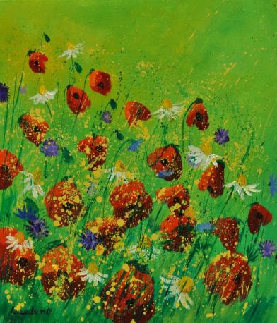 poppies 670170 - Pol Ledent