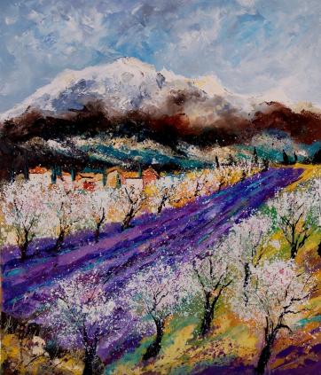 Amandiers en provence - Pol Ledent