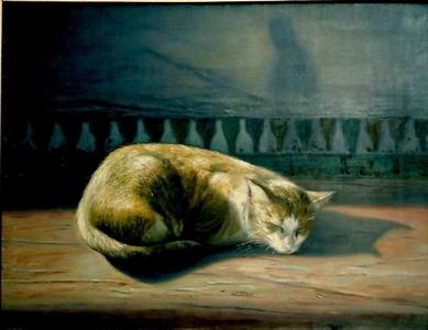 chat et ombre - Hassan Alaoui