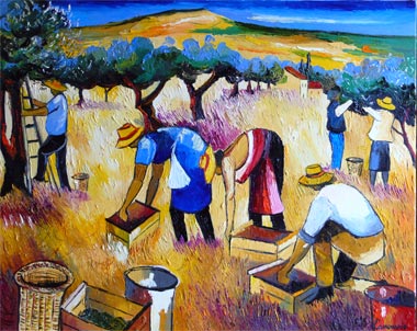 601 - Cueillette des olives - Bernard Lamonerie