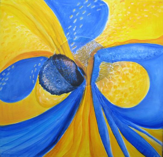 Regard bleu jaune - Elisa