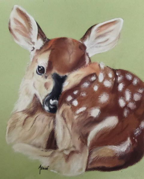 Bambi - Annae Thermea