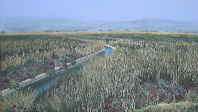 Paysage II - Ángeles Antolí - Cliquer pour afficher en grand