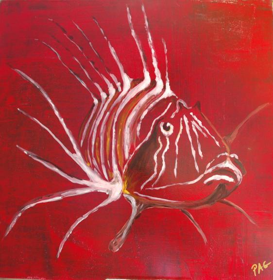 Scorpion Fish en veille - Pierre-Alain Goupille