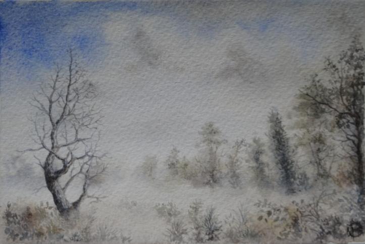 Clairière dans la brume. - Creastrof - Cliquer pour afficher en grand