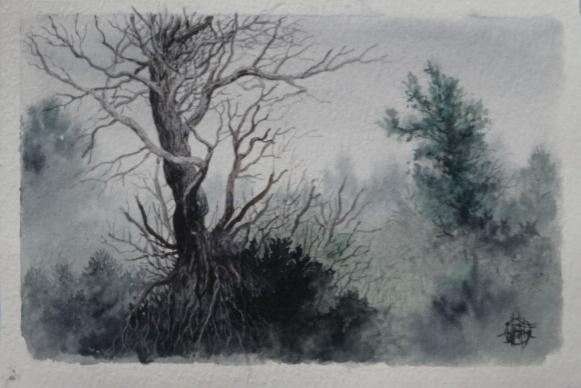 Arbre sec 050 - Creastrof - Cliquer pour afficher en grand