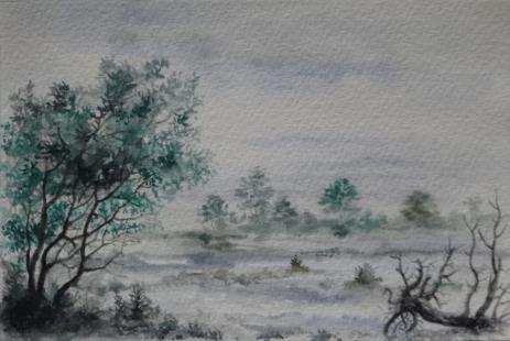 Bord de Loire045 - Creastrof