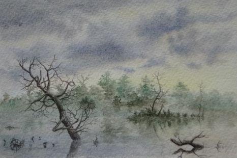 Bord de Loire 049 - Creastrof