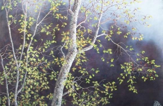Bouleaux en automne - Creastrof