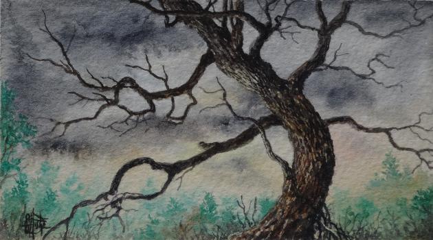 Arbre au milieu d'une clairière. - Creastrof - Cliquer pour afficher en grand