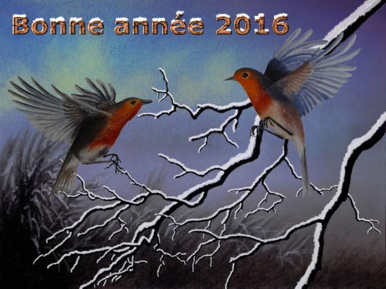 Voeux2016 - Creastrof