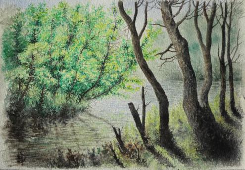 Ilot en Loire - Creastrof