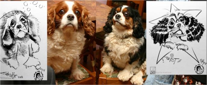 Cavalier King Charles - Chiens - Caricatures - Betty - Click to enlarge