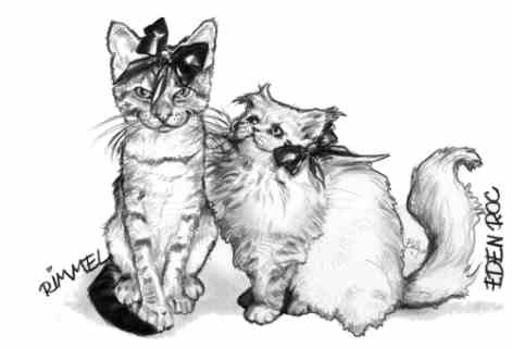 Dessin de Minou - caricatures chats - Betty