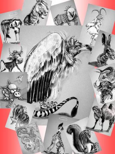 Animaux Horoscope Chinois ou Signes du Zodiaque - Betty