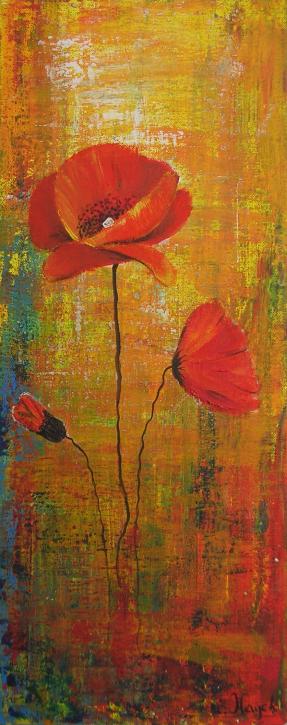 Mes beaux coquelicots - Isabelle Hayek