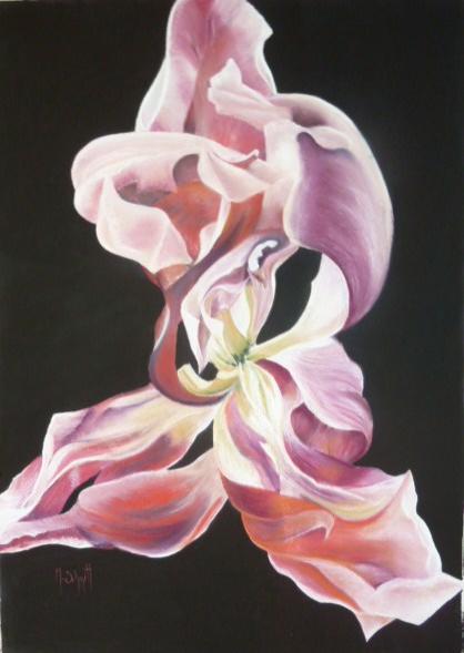 Arabesque florale - Schmitt Michelle