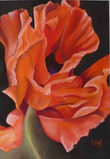 Rouge - Schmitt Michelle