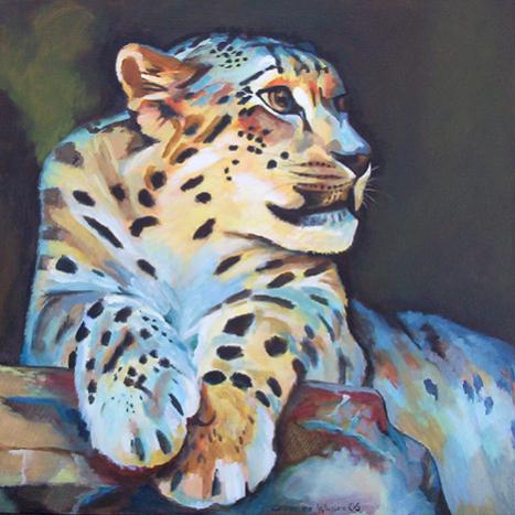 D172 snowleopard - Connie van Winssen