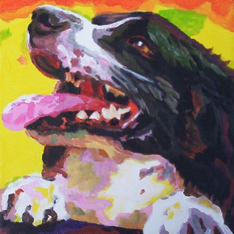 D187 collie - Connie van Winssen