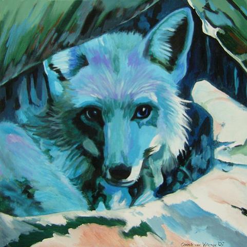 D225 fox - Connie van Winssen