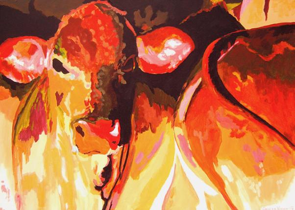 D229 cows 31 - Connie van Winssen - Click to enlarge