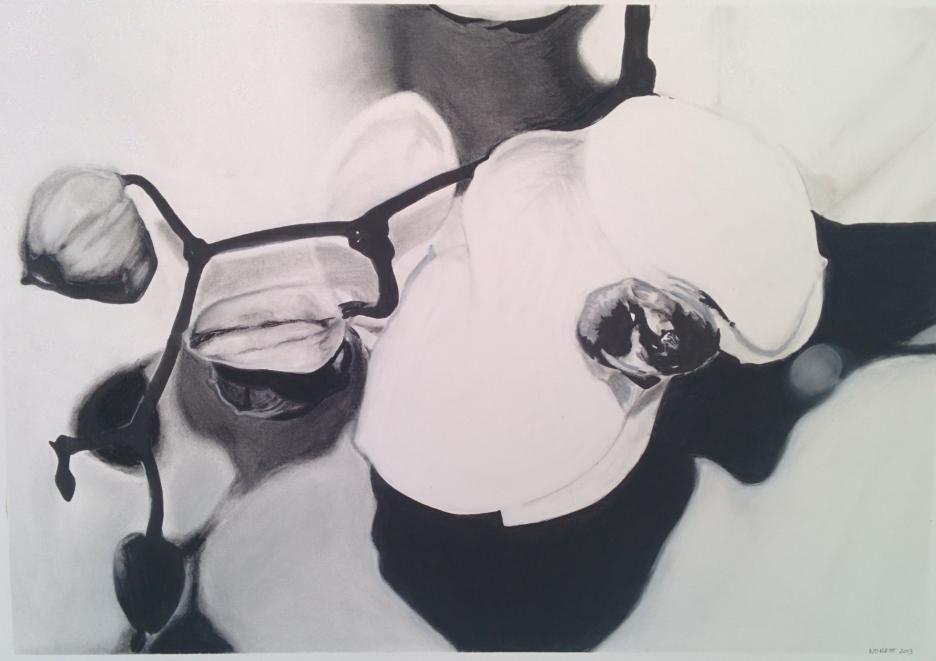 orchidées - Bruno Laurent - Click to enlarge