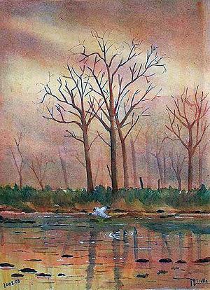 CREPUSCULE - Gérard Nicolle