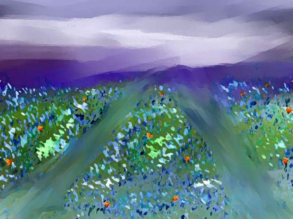 Herbes fol - Kira - Click to enlarge