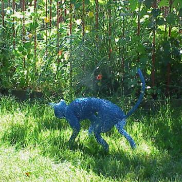 Chat Bleu - Claude Pasquer