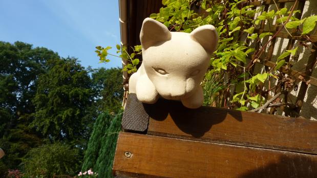chat - Laurent Leroy - Cliquer pour afficher en grand
