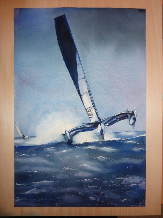 trimaran - Laurent Leroy