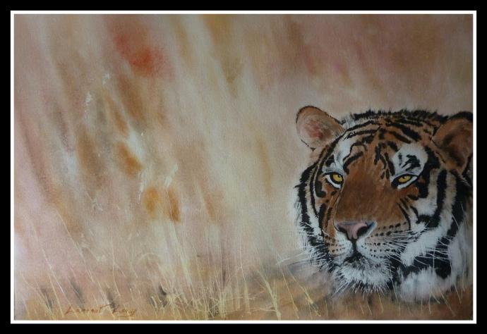 tigre dans la savane - Laurent Leroy - Click to enlarge
