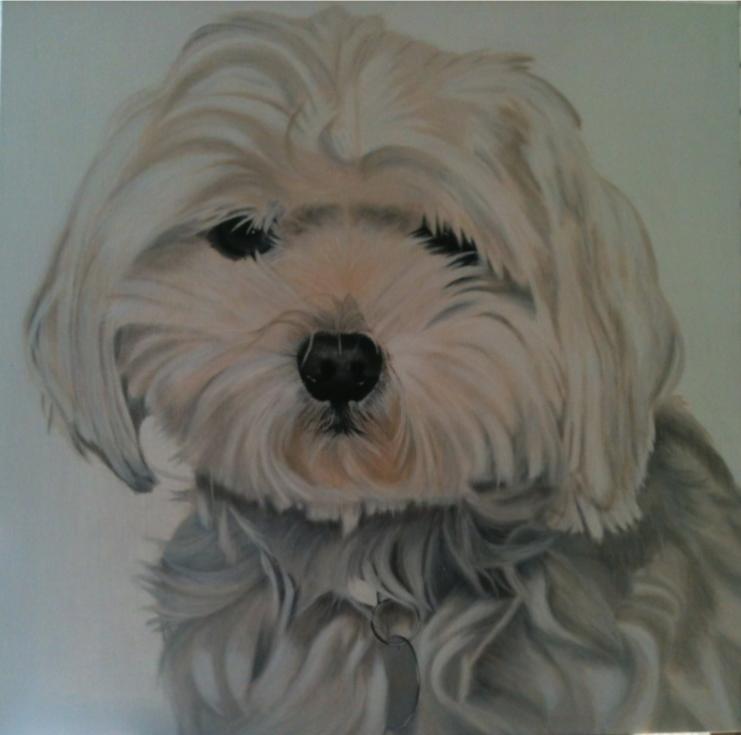 bichon - Babeth Richardi - Cliquer pour afficher en grand
