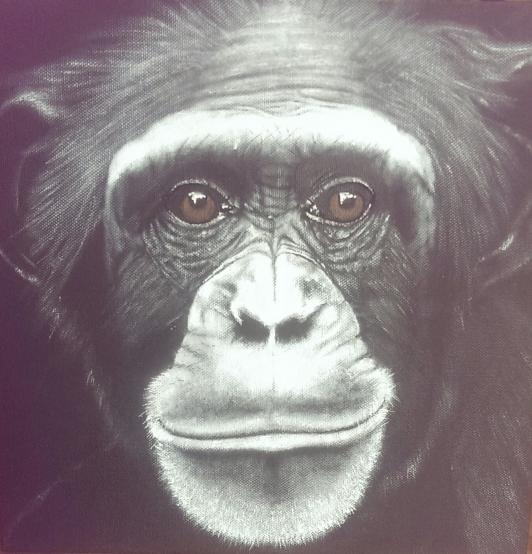 vieux chimpanzé - Babeth Richardi