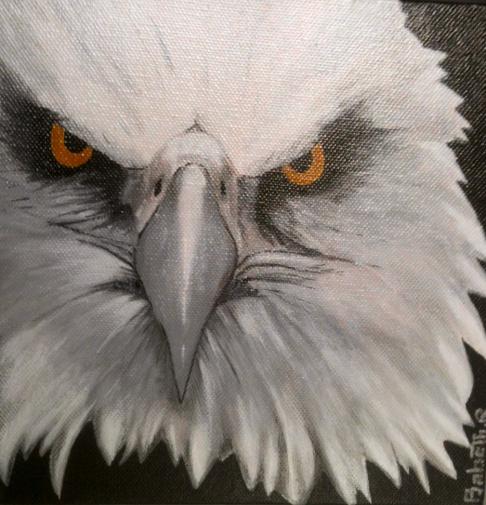Petit aigle - Babeth Richardi