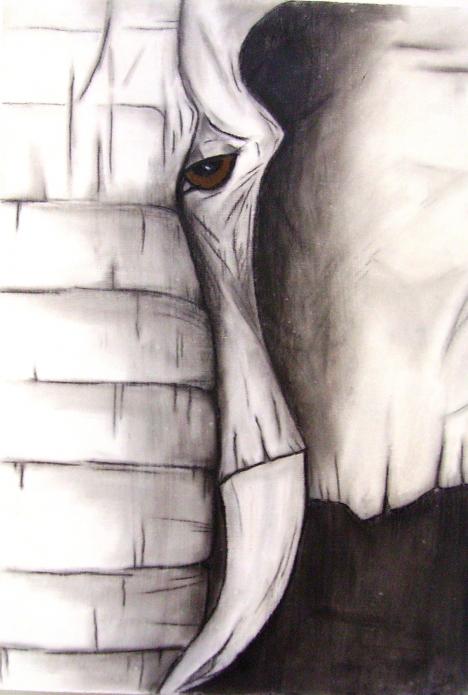 Surveillance - Babeth Richardi