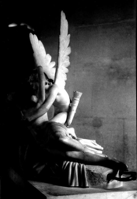 Amour - Pascale Salmon