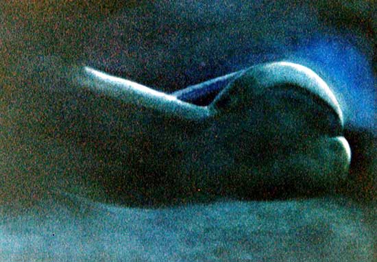 Repos - Pascale Salmon