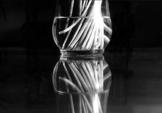 Reflet - Pascale Salmon