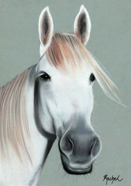 Cheval Blanc - Rachel Blairy