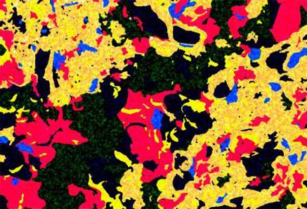 Corrosion - Cris Orfescu