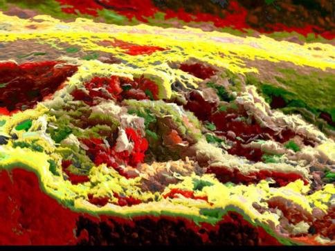 Landscape 1 - Cris Orfescu