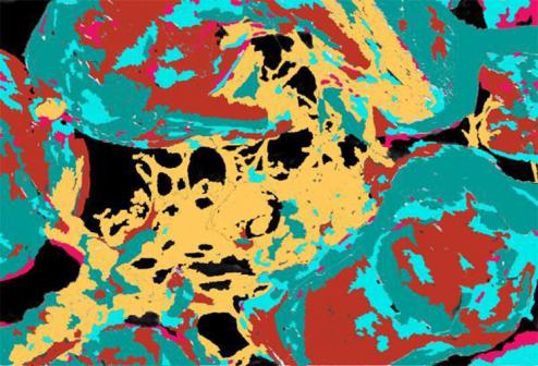Lava 2 - Cris Orfescu