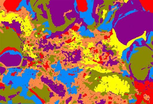 Purple is important - Cris Orfescu