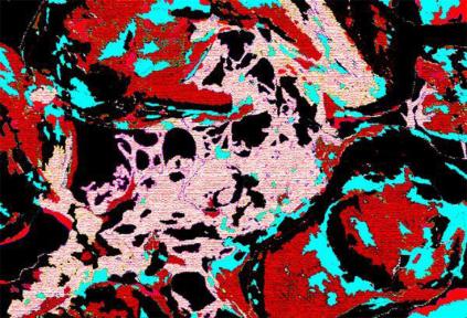 Tapestry - Cris Orfescu