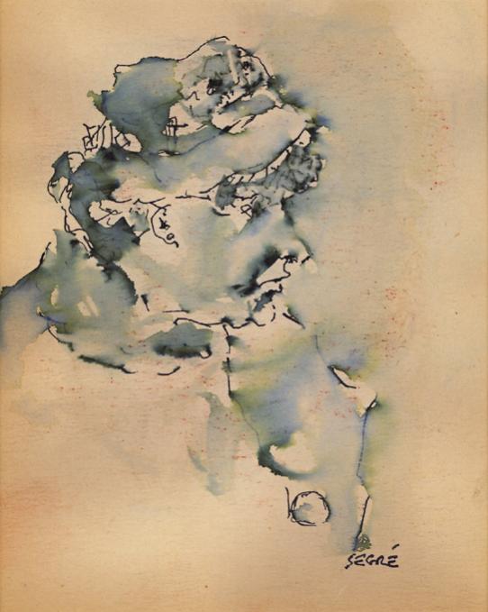 P.F. 19 - Raymond Segré
