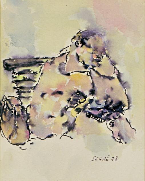 P.F. 27 - Raymond Segré