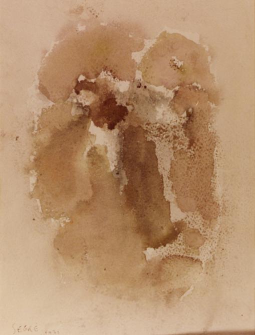 V.M. 14 - Raymond Segré